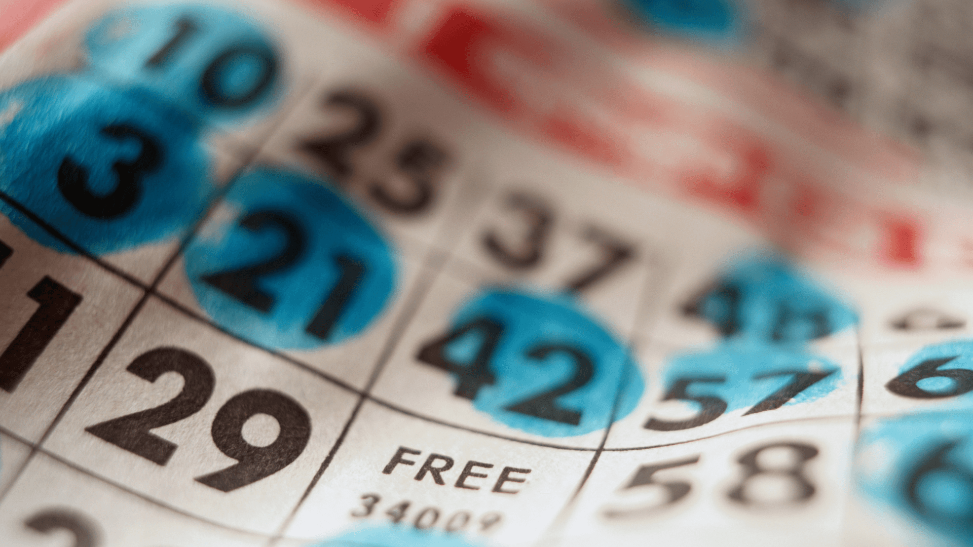 ስለ የመስመር ላይ ቢንጎ ካርዶች እና ጥሪዎች ሁሉም ነገር image